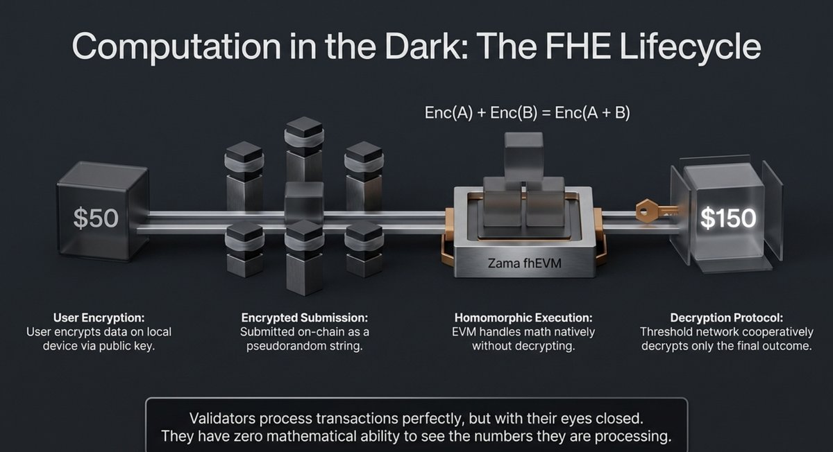 3. Computation in the dark.png